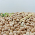 best quality chickpea/chick pea market price HPS